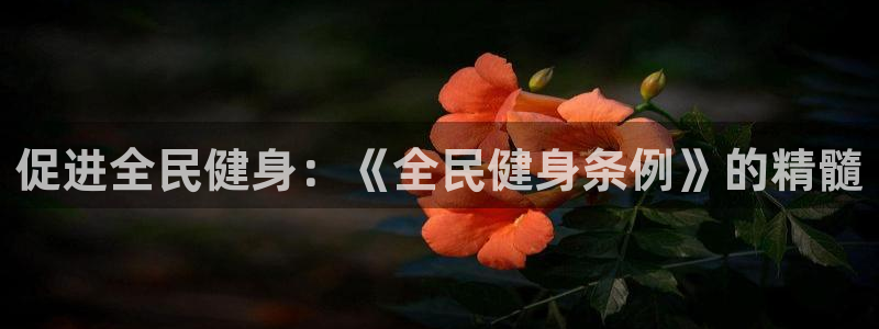 龙8国际app客户端下载不了
