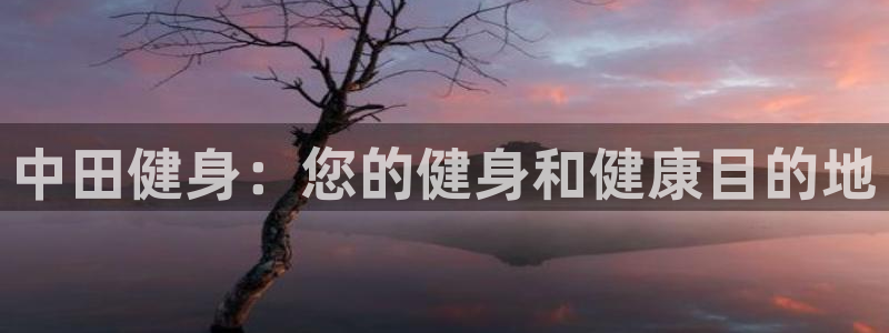 龙8国际龙8官方