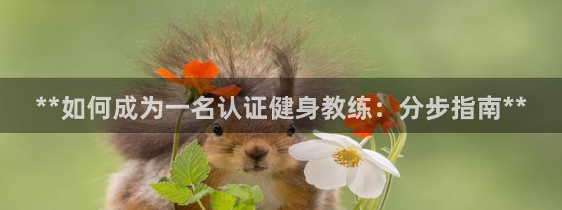 龙8国际long8龙8游戏