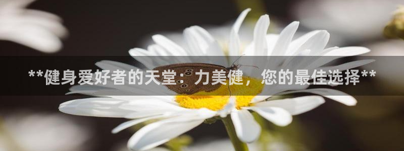 龙8国际游资如何