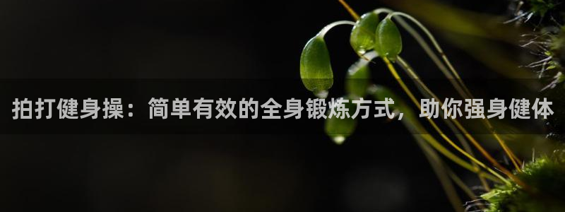 龙八国际app客户端下载不了