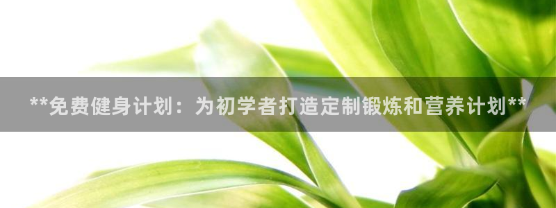 龙8国际客服
