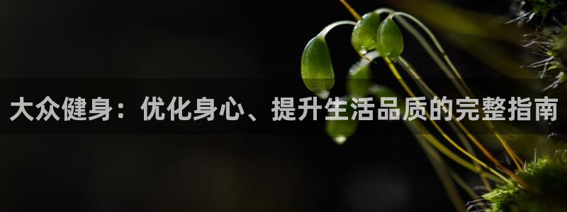 龙8国际手机版