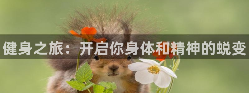 龙八国际官方网站app登录