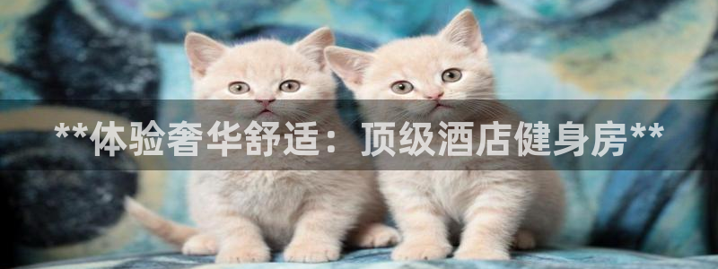 龙8国际手机游戏官网下载