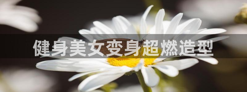 龙8国际pt网址