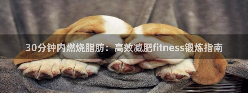 龙8国际pt客户端下载