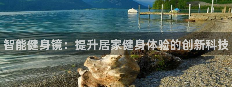 龙8国际ing