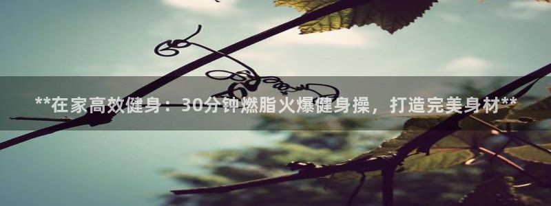 龙8国际网页版