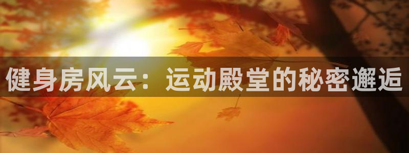 龙8国际官网app下载旧