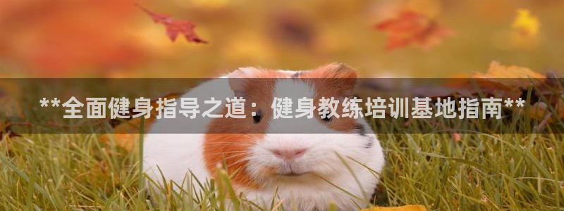 龙8国际2020官方网站