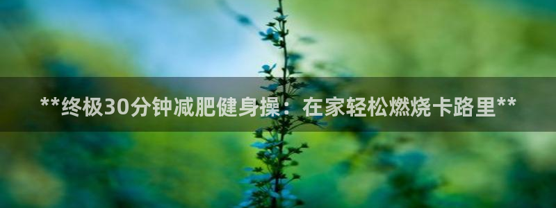 龙 八国际