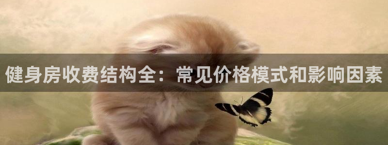 龙8国际官网版玩法