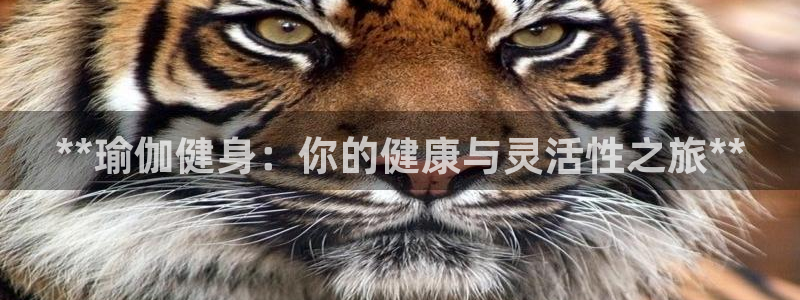 龙八国际娱乐老板是谁