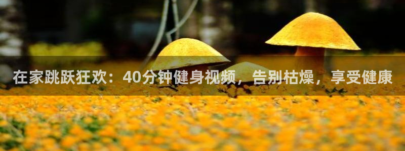 龙8国际娱首页
