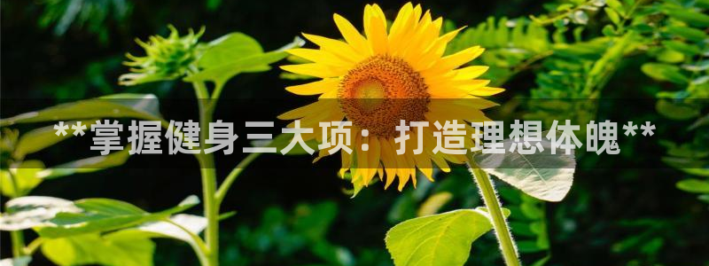 龙8游戏官方进入