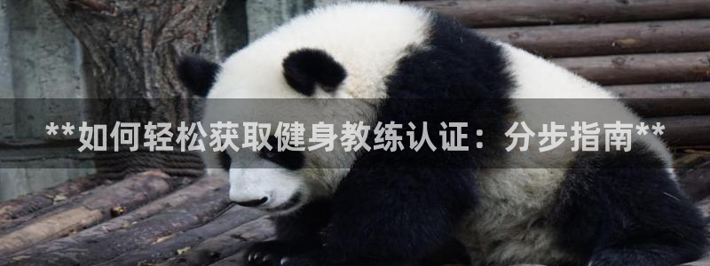 龙8国际网址