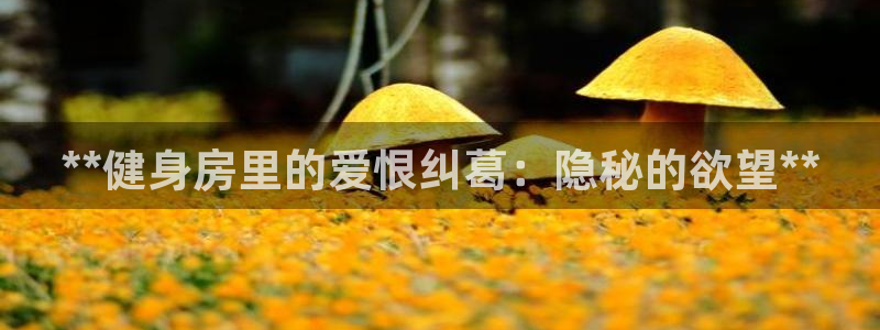 龙八国际服官网入口