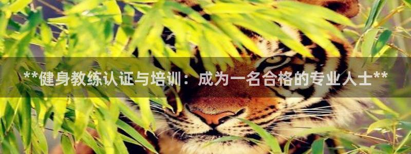 龙八国际娱乐官网app