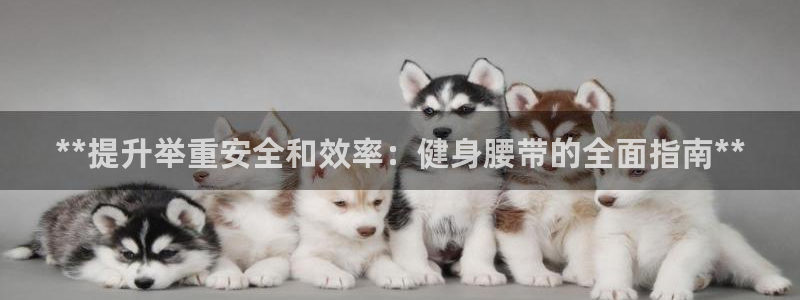 龙八国际唯一官网