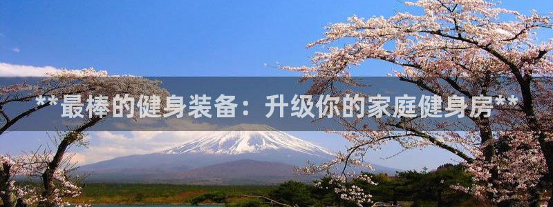 龙8国际pt网址