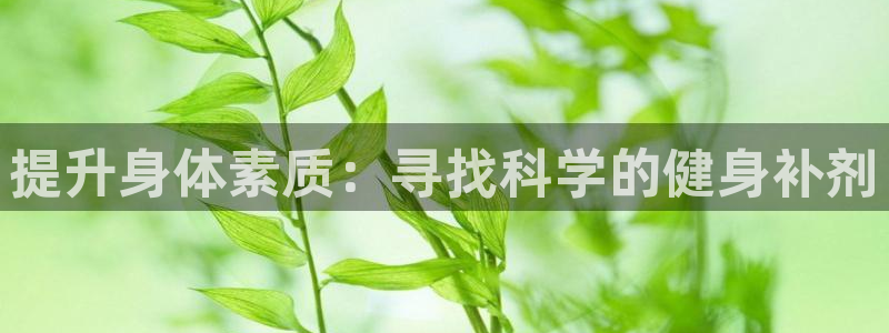 龙8国际的漏洞