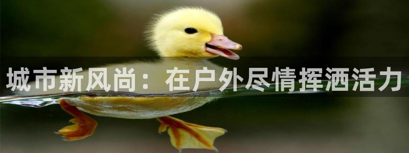 龙8国际平台提款被黑