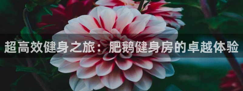 龙8国际ing