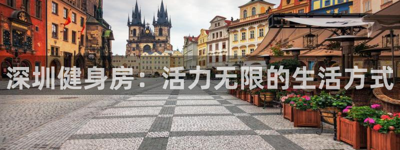 龙8国际平台登录