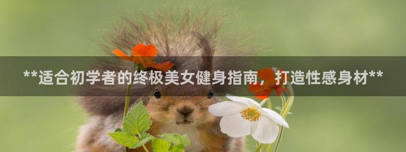 龙8国际官网多少