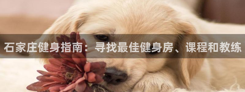 龙八国际官方网站app登录