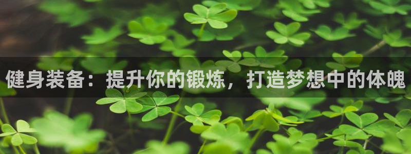 龙八国际网页登录