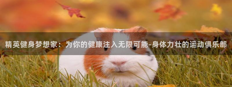 龙8国际开户