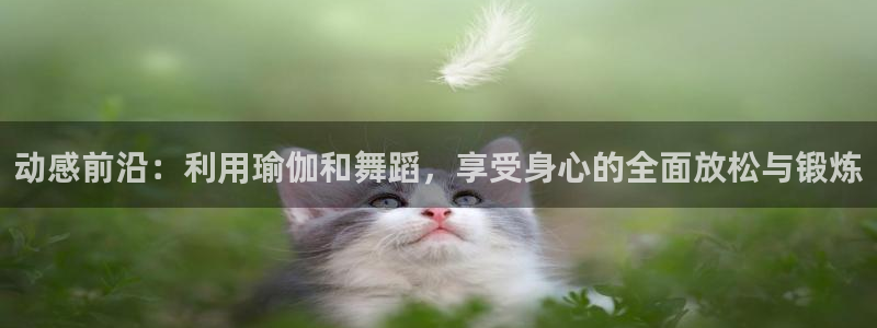 龙8国际pt官方网址