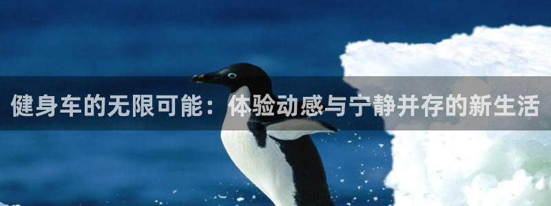 龙8官网正版