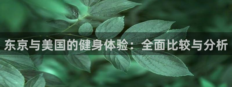 龙8国际app客户端下载不了