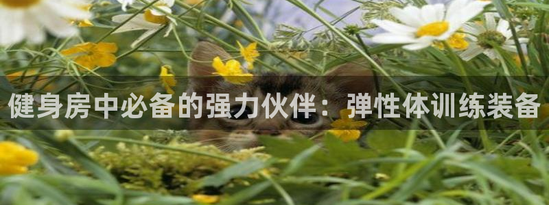 龙8国际提现
