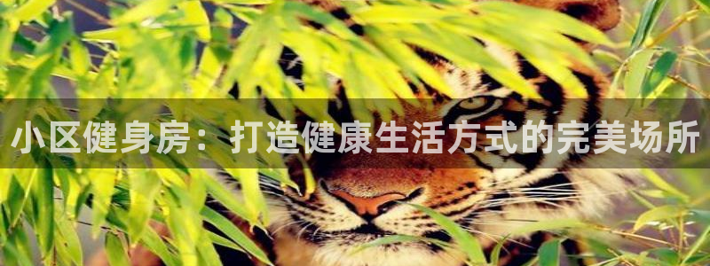 龙8国际游戏官方进入的介绍