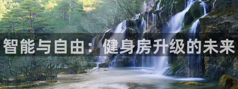 龙8国际是什么电影