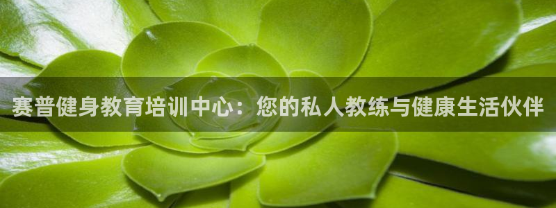 龙8游戏官方进入