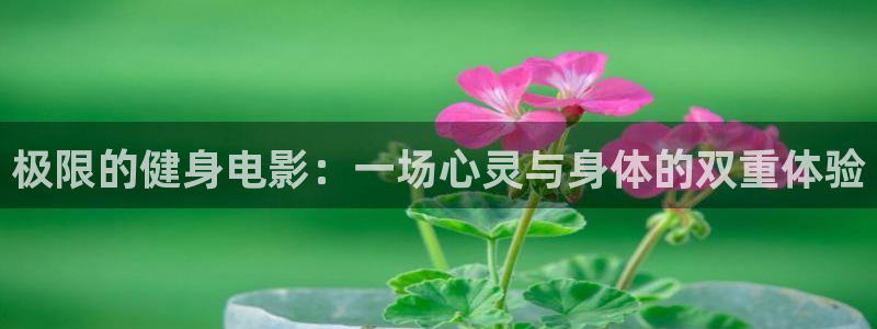 龙8国际是真的吗