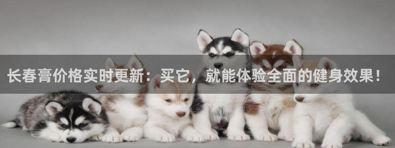 龙8老虎机手机版