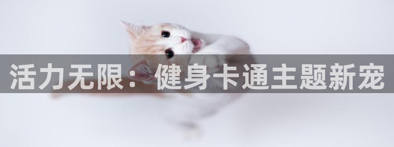 龙八国际官方网