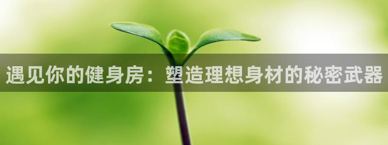 龙8国际网站怎么样