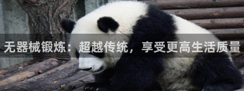 龙八国际网页登录