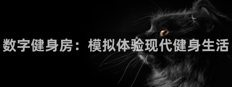 龙8国际登录地址