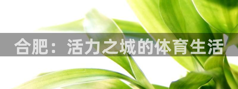 龙8国际官网-手机点此进入