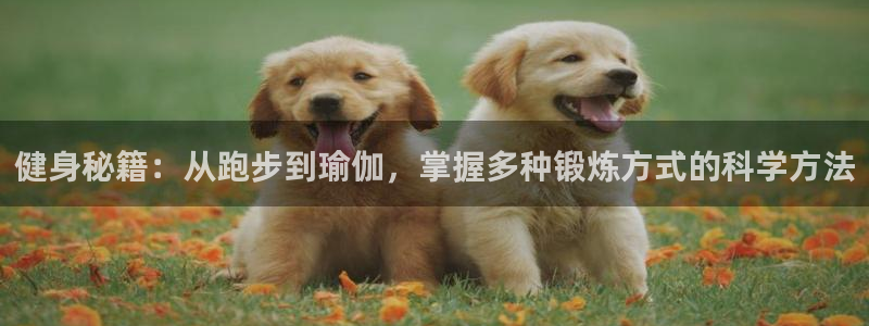 龙8国际官网唯一入口