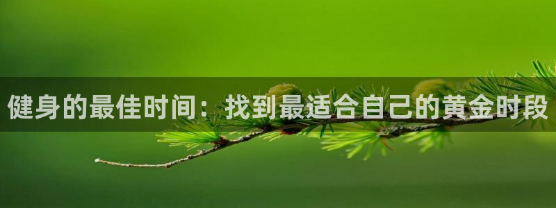 龙8国际pt网址官方