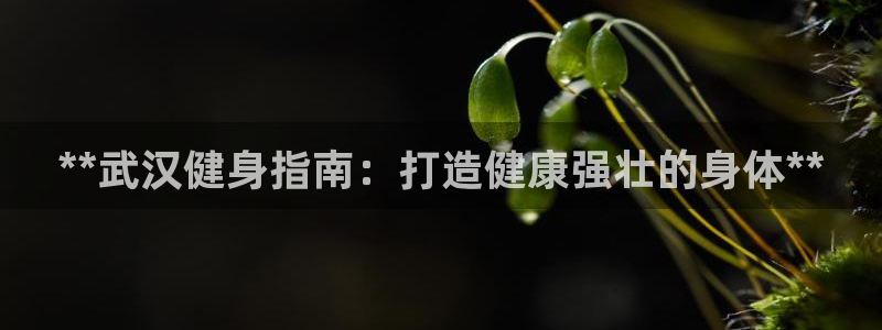 龙8国际唯一官网手游登入口